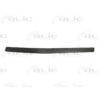 Photo Trim/Protective Strip, bumper BLIC 5703050065921P