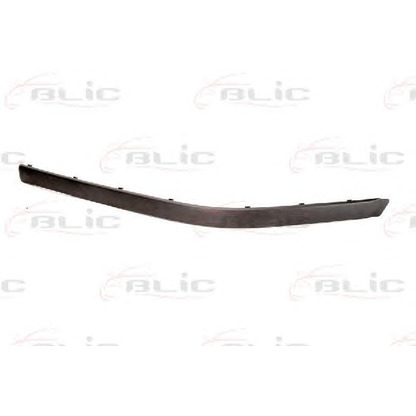 Photo Trim/Protective Strip, bumper BLIC 5703050065922P