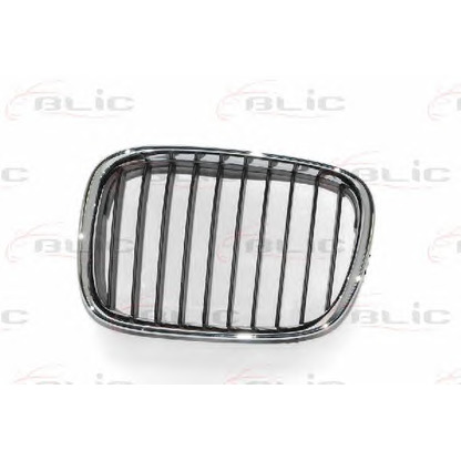 Photo Grille de radiateur BLIC 6502070065991P