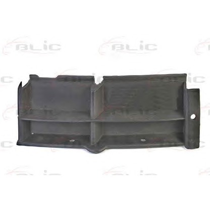 Photo Grille de ventilation, pare-chocs BLIC 6502070065995P