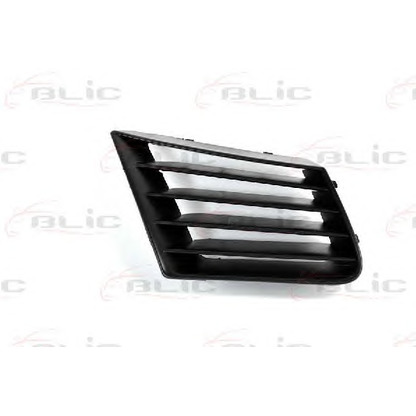 Photo Radiator Grille BLIC 6502076609992P