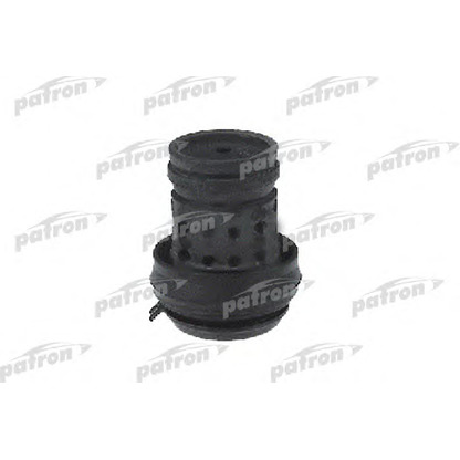 Foto Sospensione, Motore PATRON PSE3008