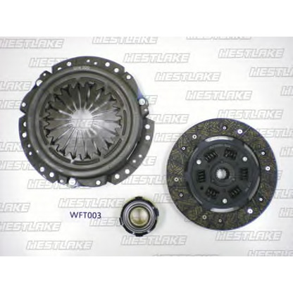 Photo Clutch Disc WESTLAKE WFT003