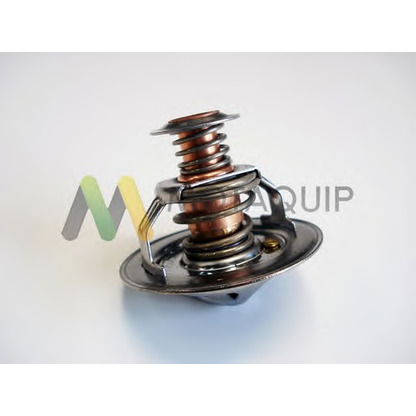 Photo Thermostat d'eau MOTAQUIP LVTK197