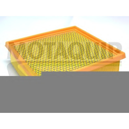 Photo Air Filter MOTAQUIP VFA1197