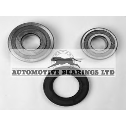 Фото Комплект подшипника ступицы колеса Automotive Bearings ABK006