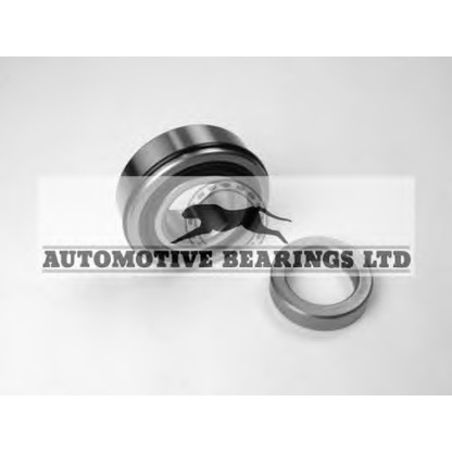 Фото Комплект подшипника ступицы колеса Automotive Bearings ABK050