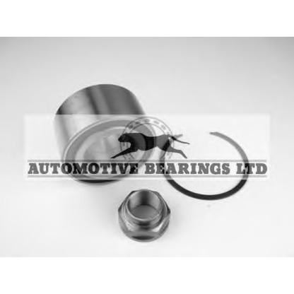 Фото Комплект подшипника ступицы колеса Automotive Bearings ABK751