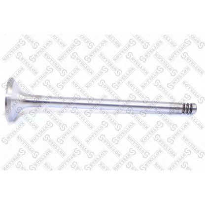 Photo Exhaust Valve STELLOX 0124225SX