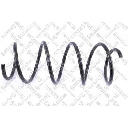 Photo Coil Spring STELLOX 1021931SX