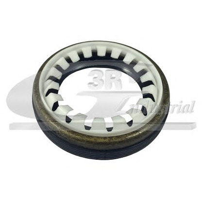 Foto Wellendichtring, Differential 3RG 80210