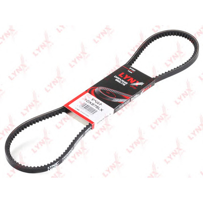 Photo V-Belt LYNXauto 10X975LX