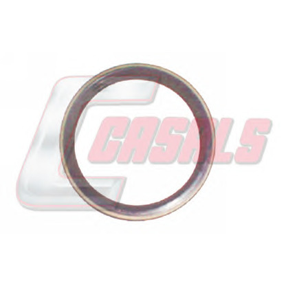 Фото Уплотняющее кольцо, ступица колеса CASALS 20216