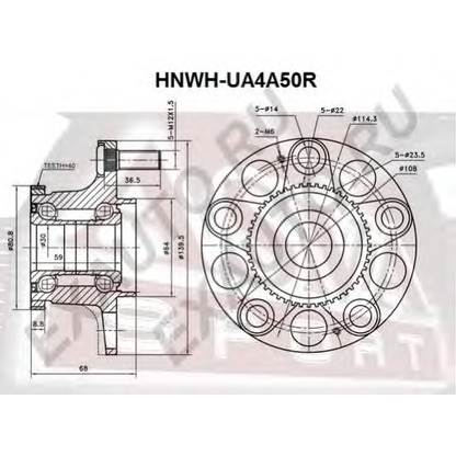 Photo Kit de roulements de roue ASVA HNWHUA4A50R