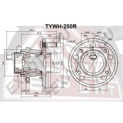 Фото Комплект подшипника ступицы колеса ASVA TYWH250R