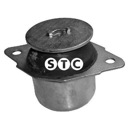 Photo Engine Mounting STC T404362