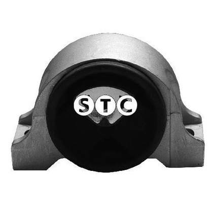 Photo Engine Mounting STC T404565