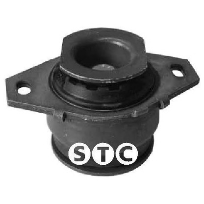 Photo Engine Mounting STC T405610