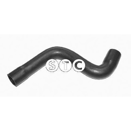 Photo Radiator Hose STC T408890