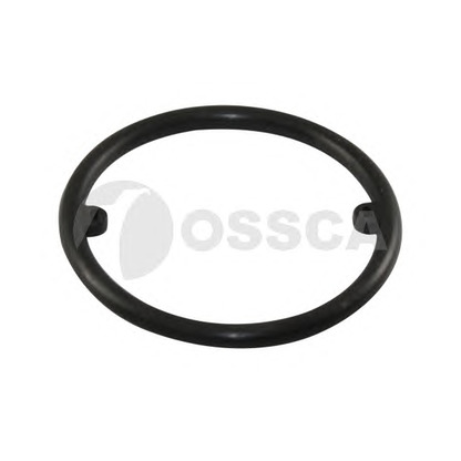 Photo Seal, oil cooler OSSCA 04975