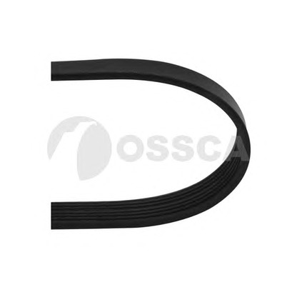 Photo V-Ribbed Belts OSSCA 07645