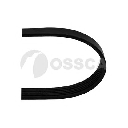 Photo V-Ribbed Belts OSSCA 12825