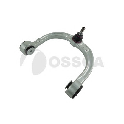 Photo Track Control Arm OSSCA 12460