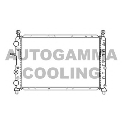 Foto Kühler, Motorkühlung AUTOGAMMA 100013