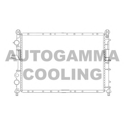 Foto Radiatore, Raffreddamento motore AUTOGAMMA 100018
