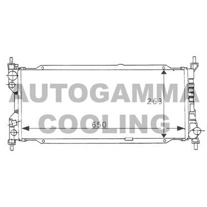 Foto Kühler, Motorkühlung AUTOGAMMA 100675