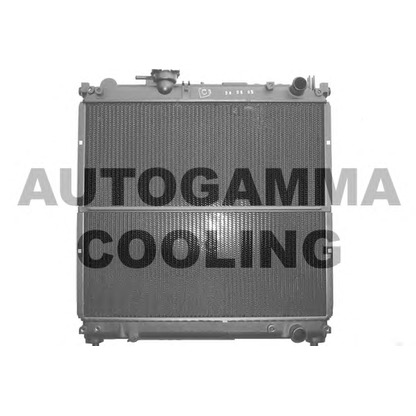 Foto Radiatore, Raffreddamento motore AUTOGAMMA 101264