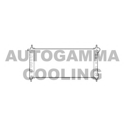 Фото Радиатор, охлаждение двигателя AUTOGAMMA 101337