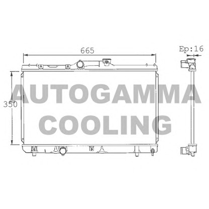 Photo Radiateur, refroidissement du moteur AUTOGAMMA 101354