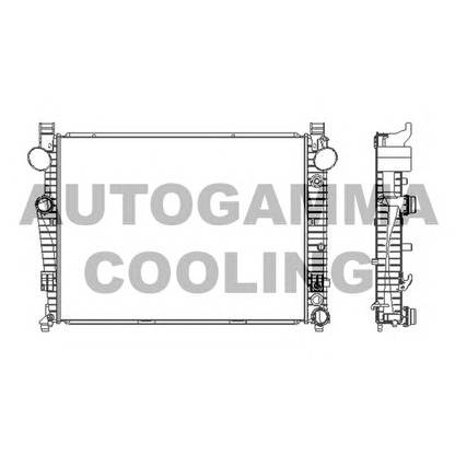 Foto Radiatore, Raffreddamento motore AUTOGAMMA 102168