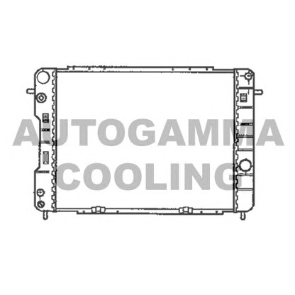 Foto Radiatore, Raffreddamento motore AUTOGAMMA 102256