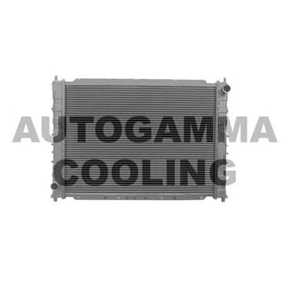 Photo Radiateur, refroidissement du moteur AUTOGAMMA 102296