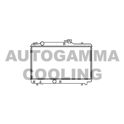 Foto Radiatore, Raffreddamento motore AUTOGAMMA 102320