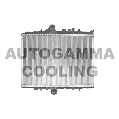 Foto Radiatore, Raffreddamento motore AUTOGAMMA 102859