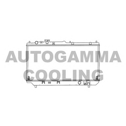 Foto Radiatore, Raffreddamento motore AUTOGAMMA 103264