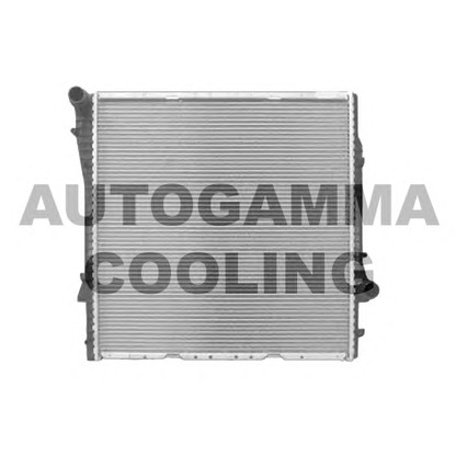Foto Radiatore, Raffreddamento motore AUTOGAMMA 103397
