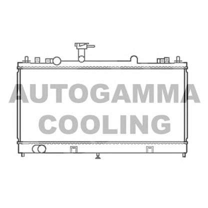 Foto Radiatore, Raffreddamento motore AUTOGAMMA 103440