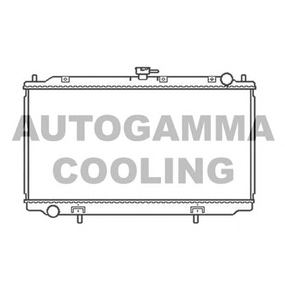 Foto Radiatore, Raffreddamento motore AUTOGAMMA 103502