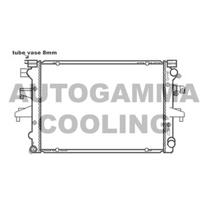 Foto Radiatore, Raffreddamento motore AUTOGAMMA 103545