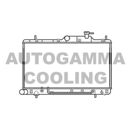 Photo Radiateur, refroidissement du moteur AUTOGAMMA 103558