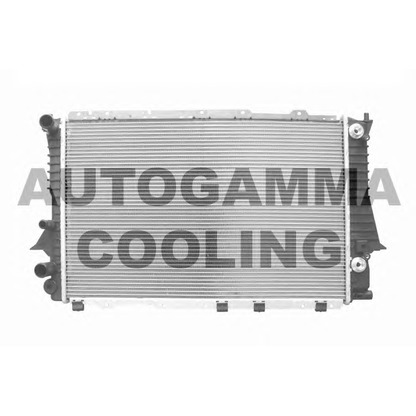 Foto Radiatore, Raffreddamento motore AUTOGAMMA 103976