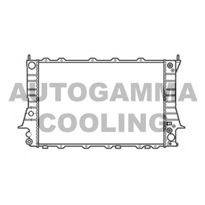 Foto Radiatore, Raffreddamento motore AUTOGAMMA 104166