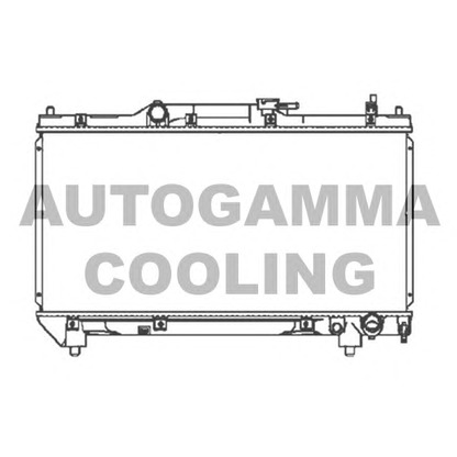 Foto Radiatore, Raffreddamento motore AUTOGAMMA 104194