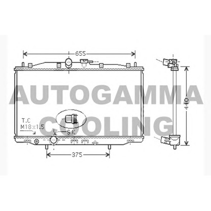 Foto Radiatore, Raffreddamento motore AUTOGAMMA 104516