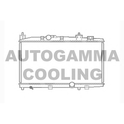 Foto Radiatore, Raffreddamento motore AUTOGAMMA 104566
