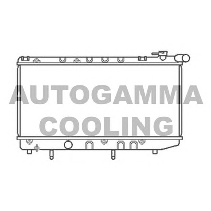 Foto Radiatore, Raffreddamento motore AUTOGAMMA 105526